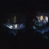 Zur_proch_calais-104219