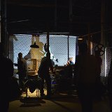 Zur_proch_calais-104282