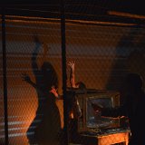 Zur_proch_calais-104290