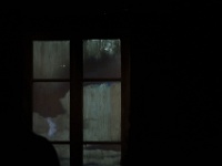 Zur-Champs libres-64676