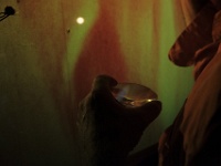 Zur-Champs libres-64992