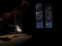 Zur-Champs libres-65045