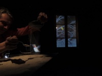 Zur-Champs libres-65053