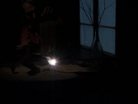 Zur-Champs libres-65079