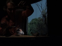 Zur-Champs libres-65092