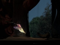 Zur-Champs libres-65097