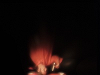 Zur-Champs libres-65466