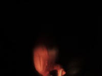 Zur-Champs libres-65469