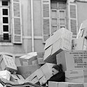 carton-59906