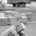 carton-59939