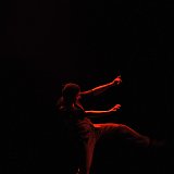 loba-98623