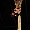 cirque-17015