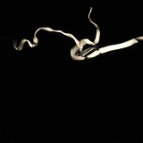 revolutions-130979