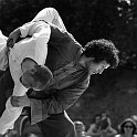 tangosumo-55853