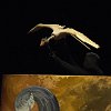 theatre-64175