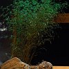 theatre-64241