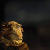 theatre-64367