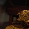 theatre-64385