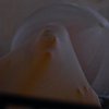 tube-95124