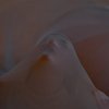 tube-95126