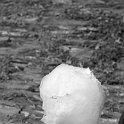 Accrocoeur19567