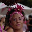 accrorose-41297