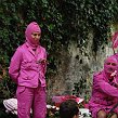 accrorose-38618