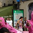 accrorose-38758
