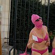 accrorose-38967