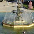 accrorose-39154