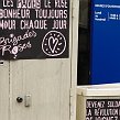 accrorose-39487