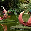 accrorose-39515