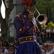accrorose-40832
