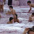 accrorose-40881