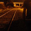 accrorose-41155