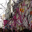 accrorose-40160