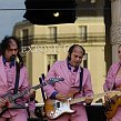 accrorose-40191