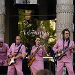 accrorose-40192