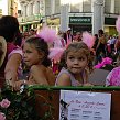 accrorose-40240