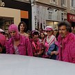 accrorose-40258