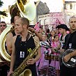 accrorose-40296