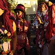 accrorose-40297