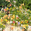 accro2008-103168