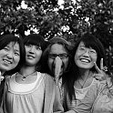 accro2009-27114