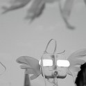 accro2009-24620