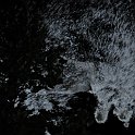 accro2009-25468