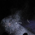 accro2009-25493