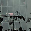 accro2010-64888