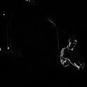 Tindersticks-73466