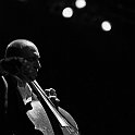 Tindersticks-73521